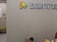 -瑞鹏宠物医院·骨外科·心肾科·肿瘤科(九亭店)