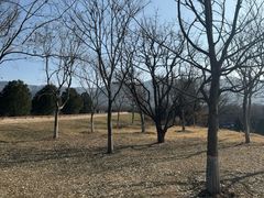 -秦始皇帝陵博物院-丽山园