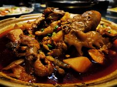 -青城甲(青城山店)