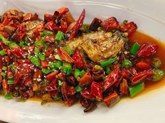 -庆合府重庆大排档(紫都城店)