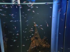 -欢乐海岸海洋奇梦馆