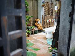 iphone_upload_pic-小洲村