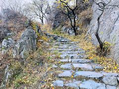 -阳台山自然风景区