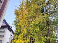 -四川大学(华西校区)