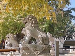 -北京石刻艺术博物馆(五塔寺)