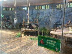 -深圳野生动物园