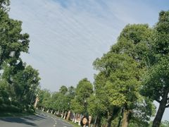 -常德桃花源景区