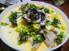 -CHIC1699远洋私厨