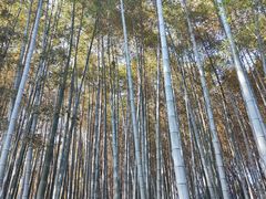 -上海市保健医疗中心