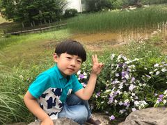 -铁山坪森林公园