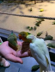 -酷嗒动物文化乐园(cutezoo西溪乐天城店)