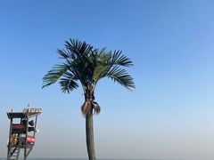 -巧克力渔家.小船海鲜家常菜(万平口店)