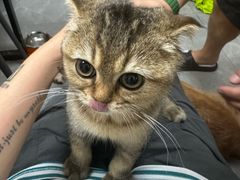 -爱诺耐芙动物医院(万博店)