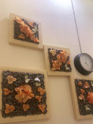 点击看大图 -芳朵美容养生SPA