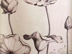 -荷兰布尔玛国际花艺学院