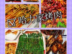 -哈力家·西北烧烤烤串(凤城三路店)