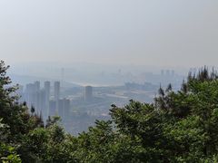 -铁山坪森林公园