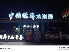 -老萍巷·莲花血鸭(步行街店)