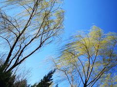 -永定河休闲森林公园