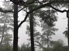 -敬亭山风景名胜区