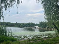 -长春市南湖公园