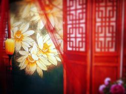 点击看大图 -后宫·古装汉服京剧儿童亲子全家福摄影