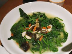 上汤浸桑叶-话梅·客家小厨(东门店)