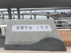 -演武大桥观景平台