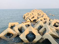 -东疆建设开发纪念公园
