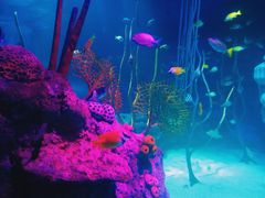 -沈阳海洋探索中心