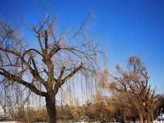 -长春市南湖公园