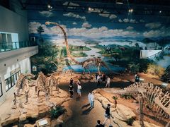 -自贡恐龙博物馆