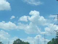 -大林苑世家精细潮州菜