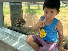 -西霞口神雕山野生动物世界