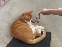 -简象咖啡CAFE ELE JANE(满陇桂雨店)