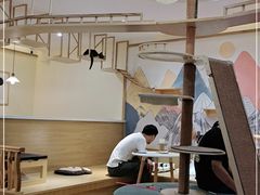 -滚猫咖啡·猫咖·猫友好撸猫(未来城店)