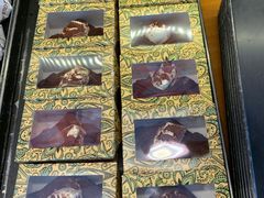 -OUR Bakery(三里屯太古里店)