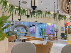 -猫域·湾主题猫咖·宠物吧(南坪城市广场店)