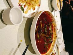 -天堂鸟水煮鱼·烟火川菜(凤凰路店)