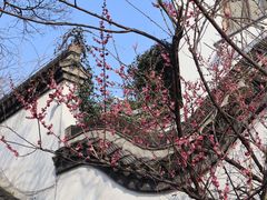 -南京民俗博物馆(甘熙故居)