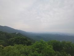-紫金山天文台