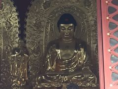 -石老人观光园