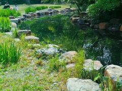 -上海共青森林公园