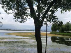 景点-西昌邛海湿地