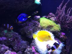 -成都浩海立方海洋公园