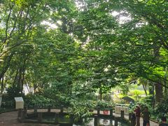 -成都市活水公园