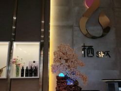 点击看大图 -栖SPA·ONDA ·海菲秀·皑皑科技美肤中心