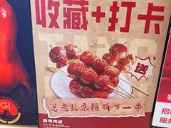 -羲和雅苑•北京烤鸭(国贸商城店)