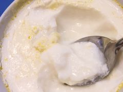 -德禄酸奶(莫家街店)