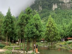 -重庆睡佛山森林公园